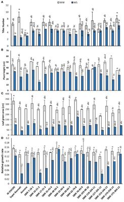 Physiology and growth of newly bred Basmati rice lines in response to vegetative-stage drought stress